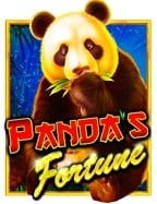 แนะนำ slot kong เกมสล็อตน่าเล่นจาก PG Slot