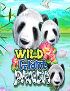 slot live22 ฝาก 20 รับ 100 โอกาสทองสำหรับนักเล่นสล็อต